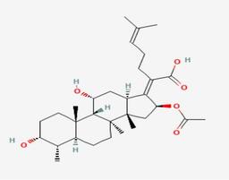 IUPAC (International Union of Pure and Applied Chemistry) / Chemical name